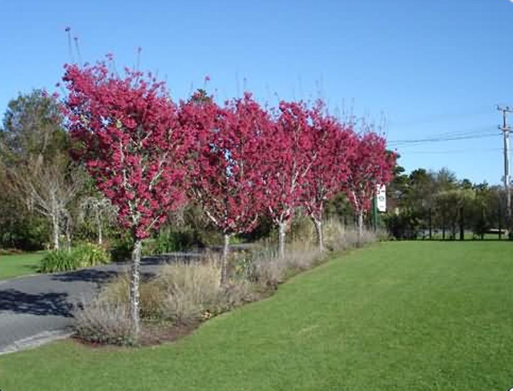 Warkworth Country House Εξωτερικό φωτογραφία