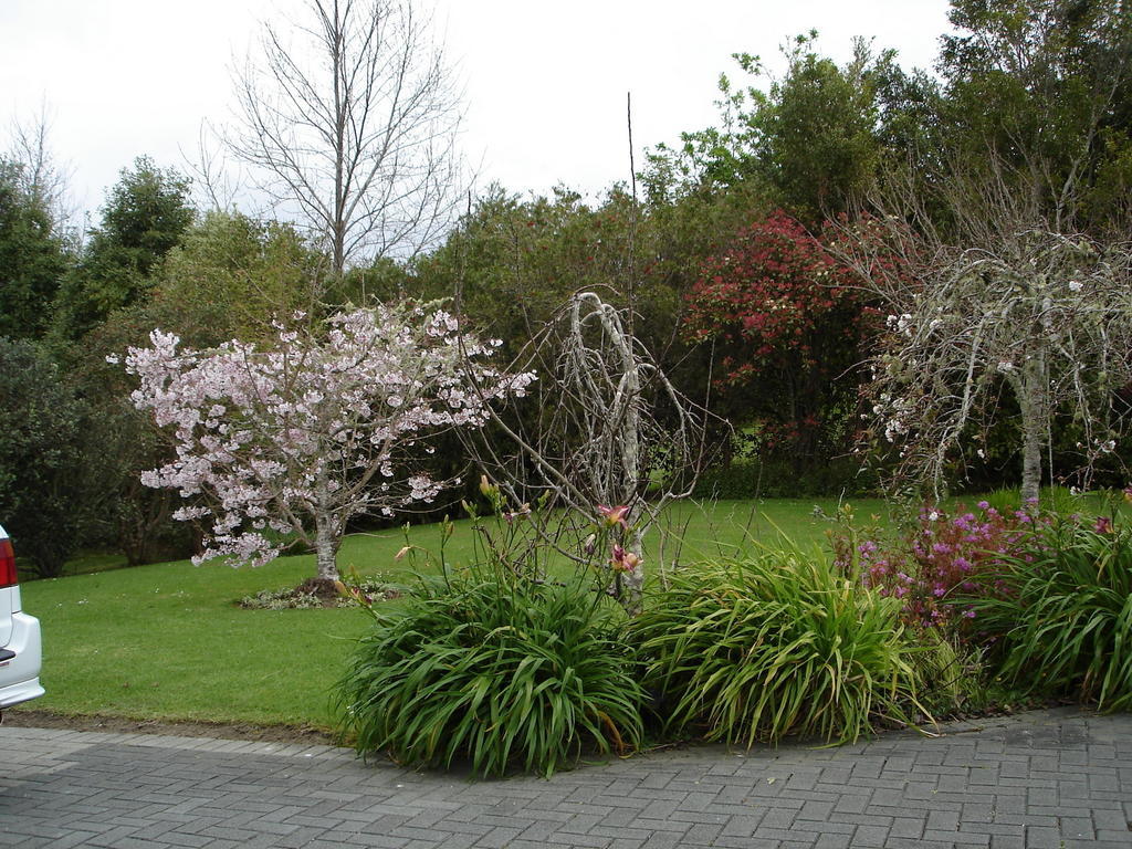 Warkworth Country House Εξωτερικό φωτογραφία