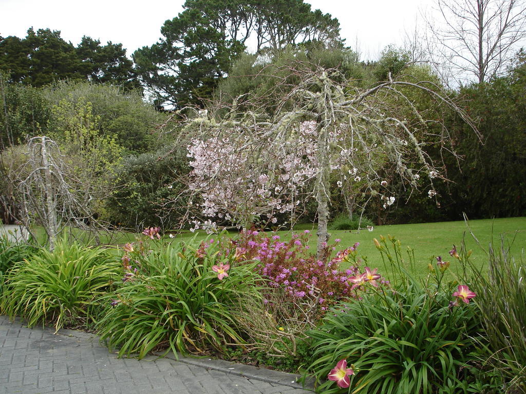 Warkworth Country House Εξωτερικό φωτογραφία