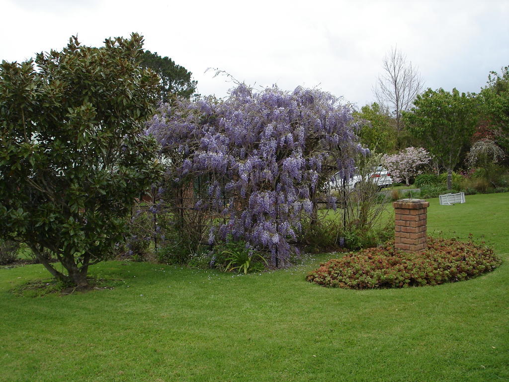 Warkworth Country House Εξωτερικό φωτογραφία